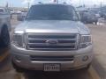 Ingot Silver Metallic 2010 Ford Expedition XLT