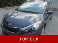 2016 Steel Blue Kia Forte LX Sedan  photo #1