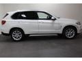 Alpine White - X5 sDrive35i Photo No. 2
