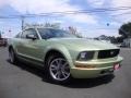 2005 Legend Lime Metallic Ford Mustang V6 Deluxe Coupe #106539368