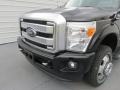 Shadow Black - F350 Super Duty Platinum Crew Cab 4x4 DRW Photo No. 10