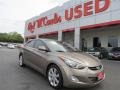 2012 Harbor Gray Metallic Hyundai Elantra GLS  photo #2