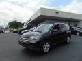 Crystal Black Pearl - CR-V EX-L 4WD Photo No. 7