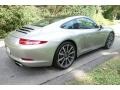 Platinum Silver Metallic - 911 Carrera Coupe Photo No. 6