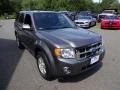 Sterling Gray Metallic 2012 Ford Escape XLT V6 4WD