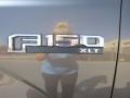 2015 Caribou Metallic Ford F150 XLT SuperCrew  photo #14