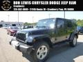 Black - Wrangler Unlimited Sahara 4x4 Photo No. 1