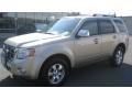 Gold Leaf Metallic 2010 Ford Escape Limited V6 4WD