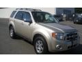 Gold Leaf Metallic - Escape Limited V6 4WD Photo No. 3