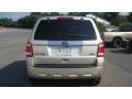 Gold Leaf Metallic - Escape Limited V6 4WD Photo No. 4