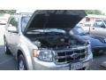 Gold Leaf Metallic - Escape Limited V6 4WD Photo No. 25