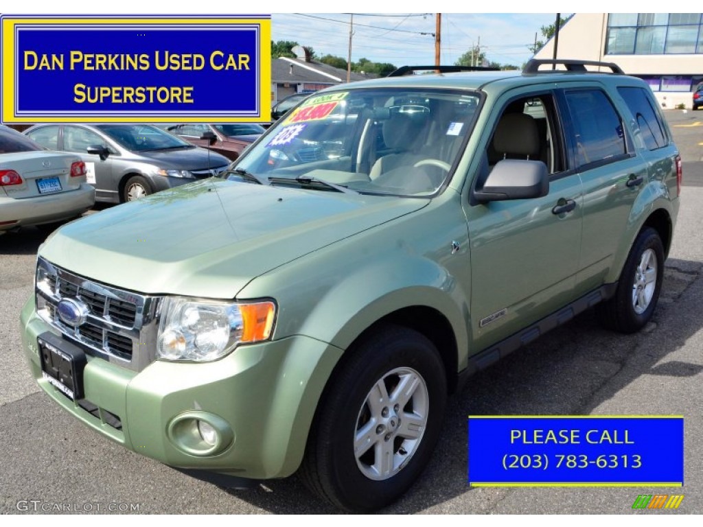 2008 Escape Hybrid 4WD - Kiwi Green Metallic / Stone photo #1