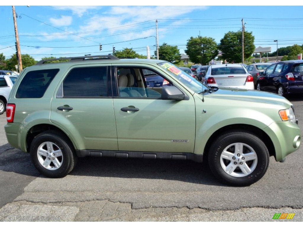 2008 Escape Hybrid 4WD - Kiwi Green Metallic / Stone photo #4