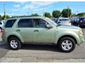 2008 Kiwi Green Metallic Ford Escape Hybrid 4WD  photo #4