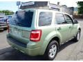 2008 Kiwi Green Metallic Ford Escape Hybrid 4WD  photo #6