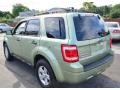 2008 Kiwi Green Metallic Ford Escape Hybrid 4WD  photo #10