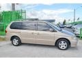 Mesa Beige Metallic - Odyssey EX Photo No. 5