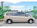 Mesa Beige Metallic - Odyssey EX Photo No. 6