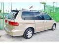 Mesa Beige Metallic - Odyssey EX Photo No. 7