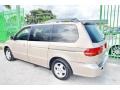 Mesa Beige Metallic - Odyssey EX Photo No. 31