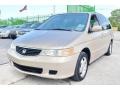 Mesa Beige Metallic - Odyssey EX Photo No. 36
