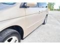Mesa Beige Metallic - Odyssey EX Photo No. 37