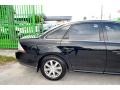 Black Clearcoat - Taurus SEL Photo No. 11
