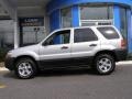 2006 Silver Metallic Ford Escape XLT V6 4WD  photo #3