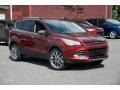 2016 Sunset Metallic Ford Escape SE 4WD  photo #1