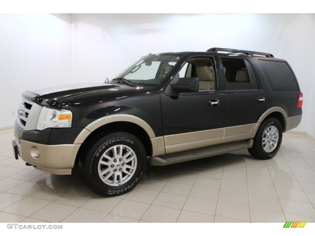 Tuxedo Black Metallic 2011 Ford Expedition XLT 4x4 Exterior Photo #106629964