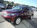 2013 Basque Red Pearl II Honda CR-V EX AWD  photo #5