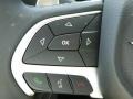 2016 Chrysler 200 C AWD Controls