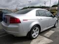 Alabaster Silver Metallic - TL 3.2 Photo No. 5