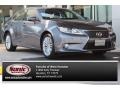 Nebula Gray Pearl - ES 350 Photo No. 1