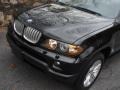Black Sapphire Metallic - X5 4.4i Photo No. 16