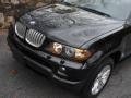 2005 Black Sapphire Metallic BMW X5 4.4i  photo #16