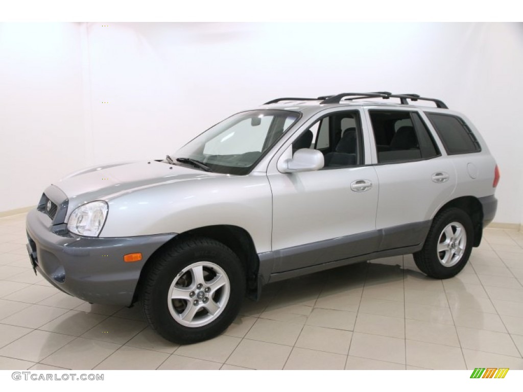 2004 Santa Fe GLS 4WD - Pewter / Gray photo #3