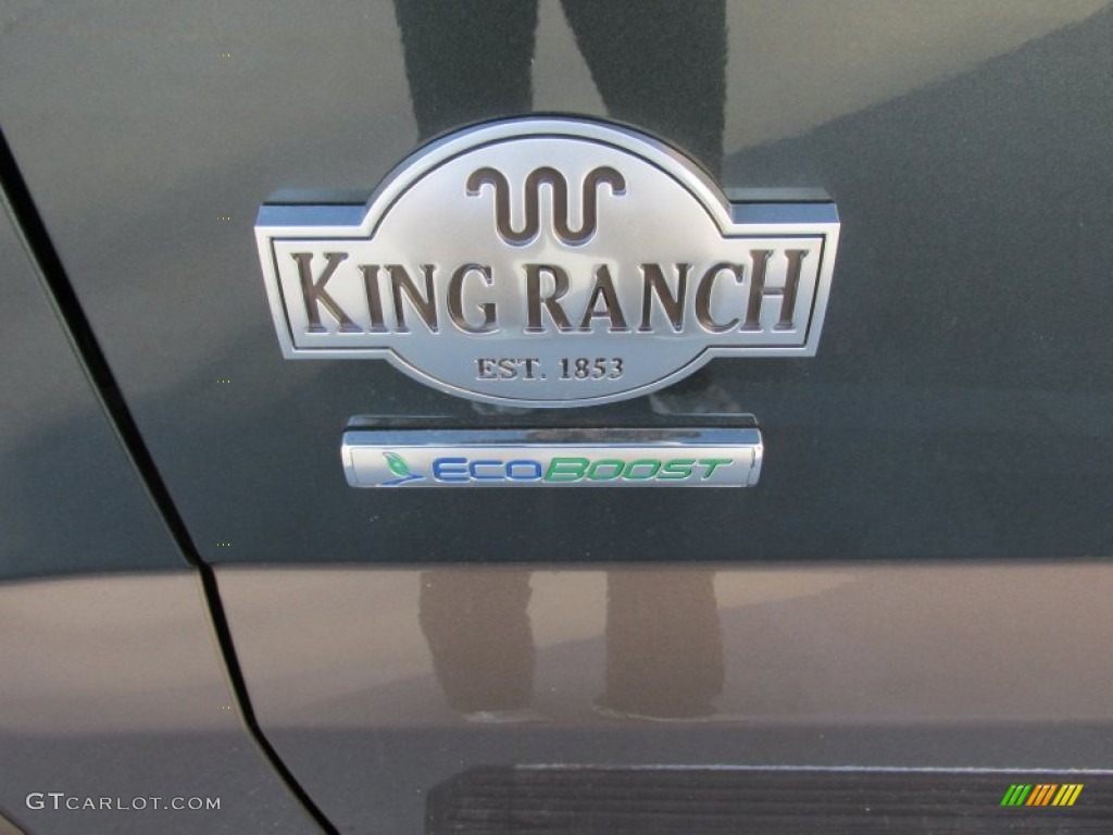 2015 F150 King Ranch SuperCrew - Guard Metallic / King Ranch Java/Mesa photo #16