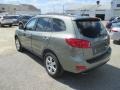 2008 Platinum Sage Hyundai Santa Fe Limited 4WD  photo #12