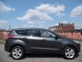 Magnetic Metallic - Escape SE 4WD Photo No. 1