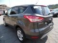 Magnetic Metallic - Escape SE 4WD Photo No. 6