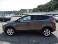 Magnetic Metallic - Escape SE 4WD Photo No. 7