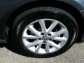 Platinum Grey Metallic - Jetta SE Sedan Photo No. 4
