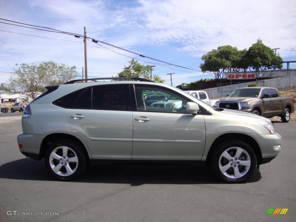 2007 RX 350 - Bamboo Green Pearl / Ivory photo #8