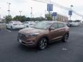 2016 Mojave Sand Hyundai Tucson Sport  photo #3