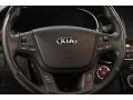 2014 Metallic Bronze Kia Cadenza Premium  photo #7