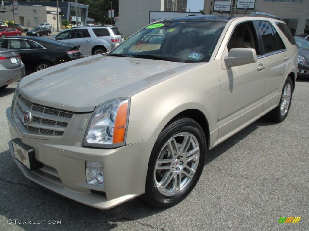 Gold Mist 2008 Cadillac SRX 4 V6 AWD Exterior Photo #106762623