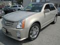 Gold Mist 2008 Cadillac SRX 4 V6 AWD Exterior