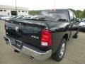 Black Forest Green Pearl - 1500 Big Horn Crew Cab 4x4 Photo No. 8