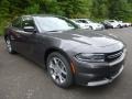 Granite Crystal Metallic - Charger SE AWD Photo No. 10